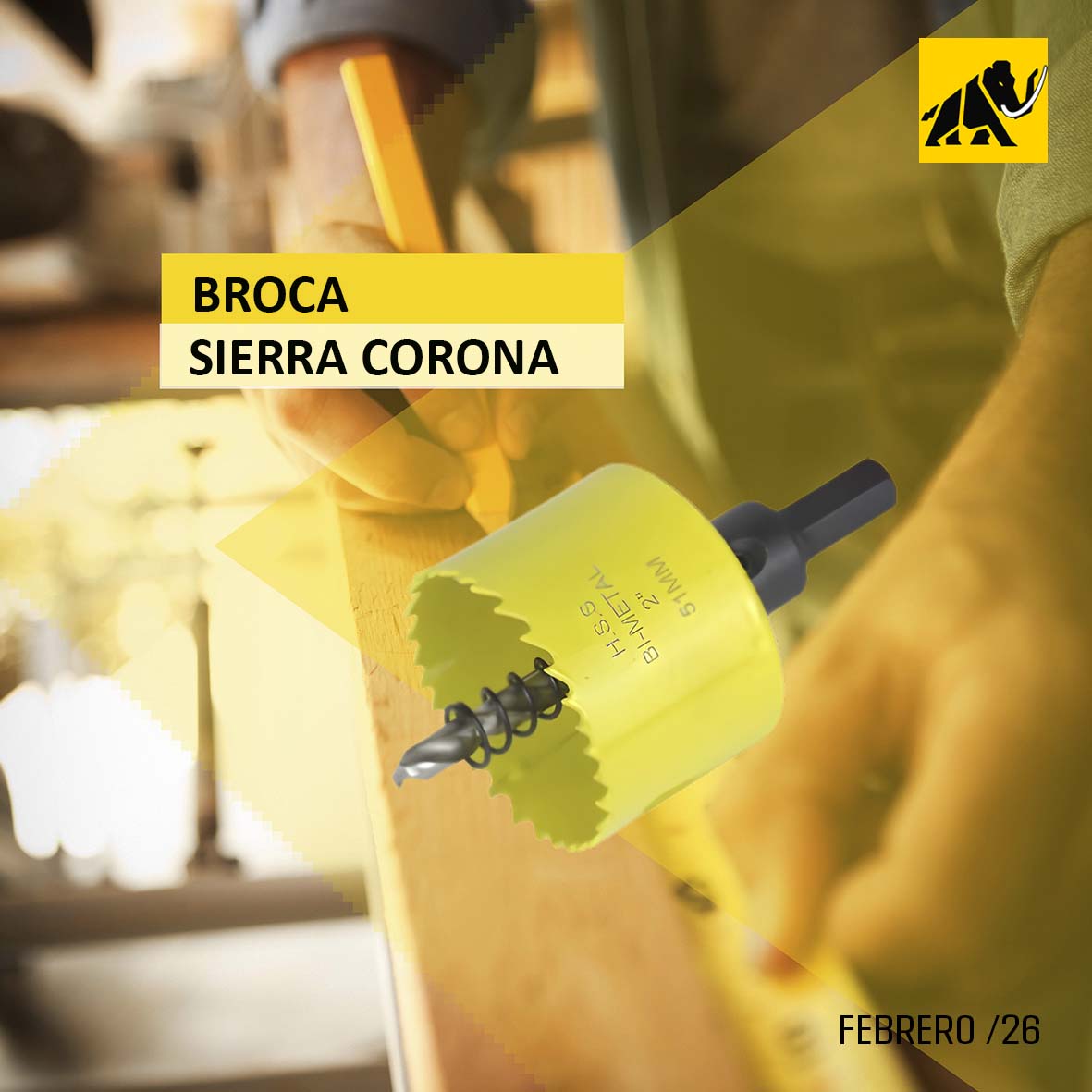 #Fijaciones #FijacionesMamut