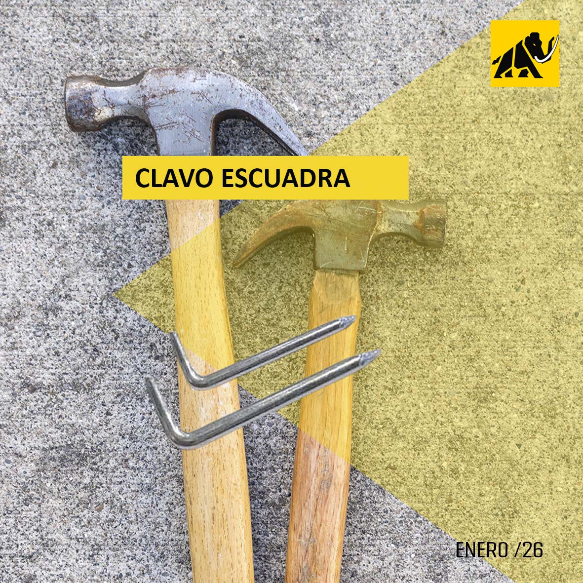 #Fijaciones #FijacionesMamut