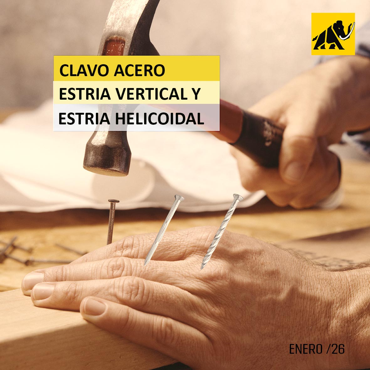 #Fijaciones #FijacionesMamut