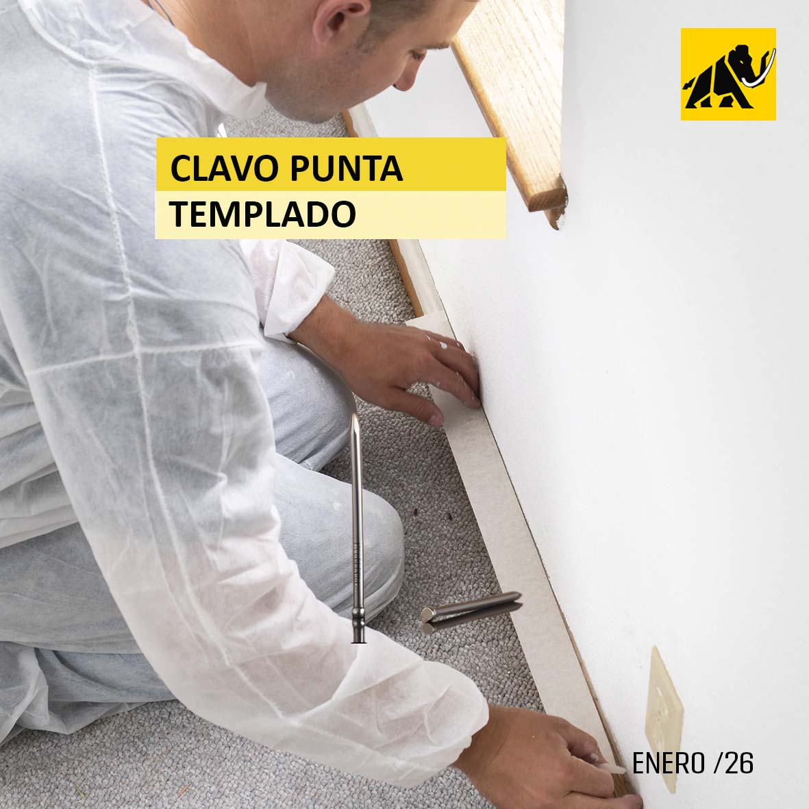 #Fijaciones #FijacionesMamut